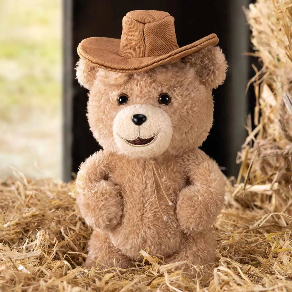 POP MART Ted2 Teddybär Action Plüsch Anhänger Serie Blind Box